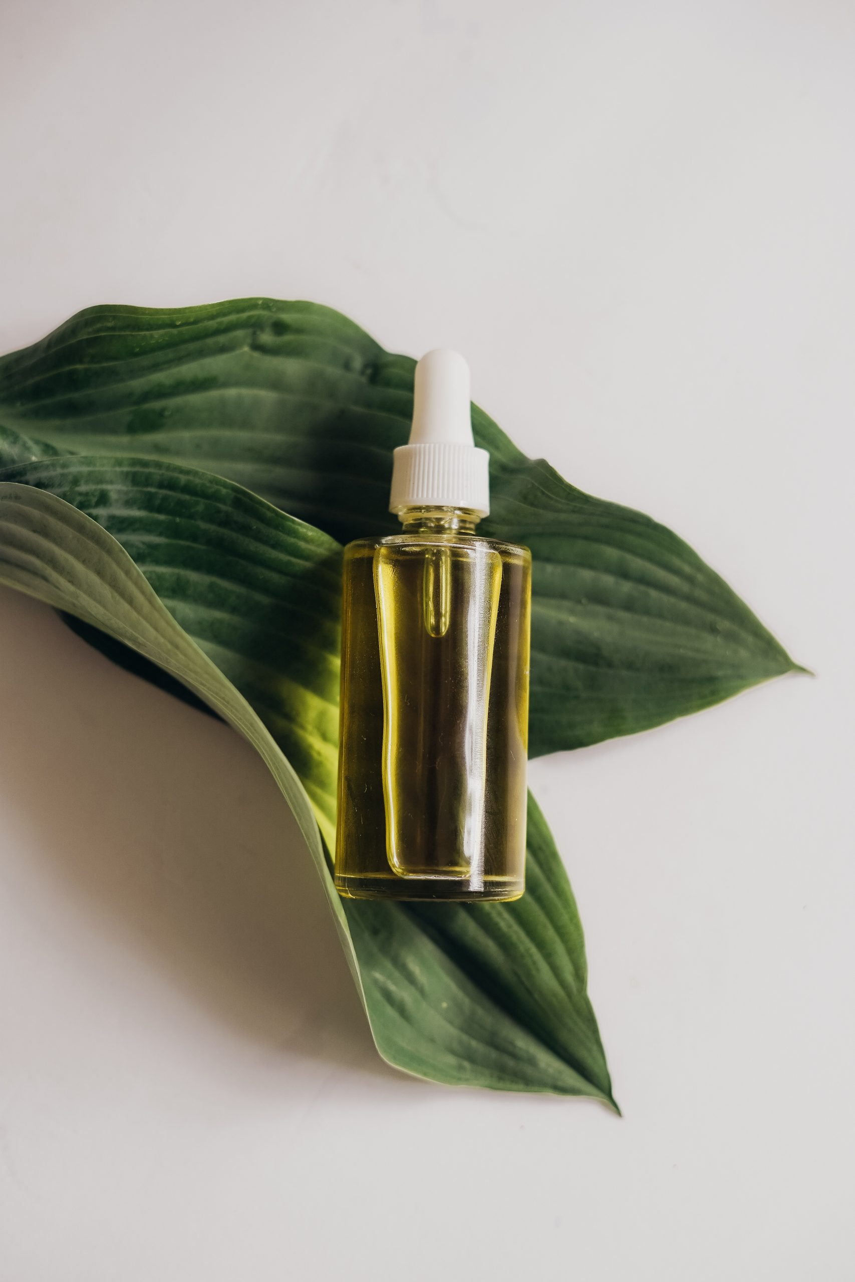 Sérum anti âge